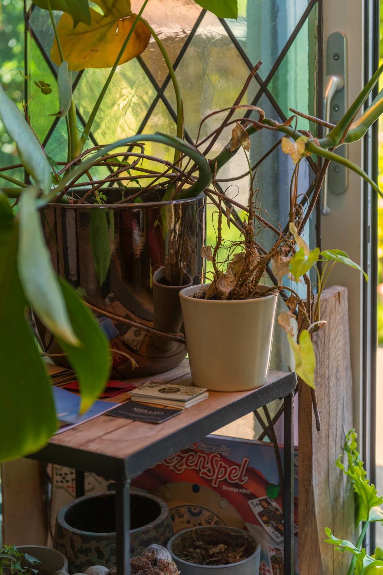 Cozy House - Leenfietsen, Eigen Keuken En Badkamer Nijmegen Exteriör bild